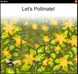 Lets Pollinate